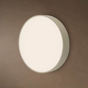 Wall Mount Light Image