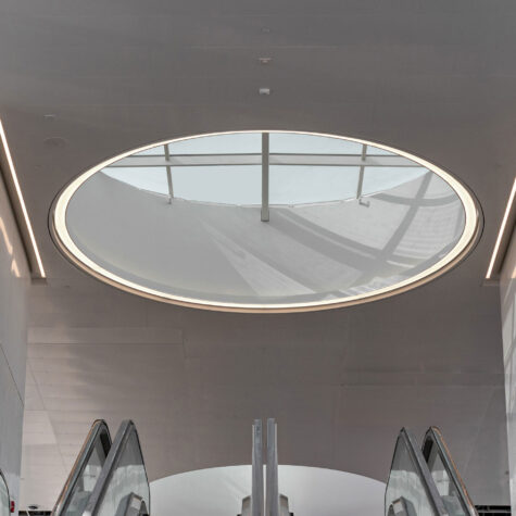 LAX_Rings2